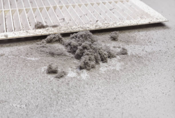Best Professional Duct Cleaning Services  in Chetek, WI