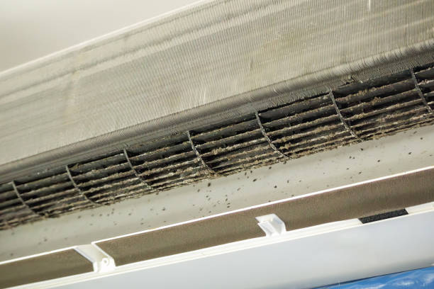 Best Affordable Duct Cleaning Services  in Chetek, WI